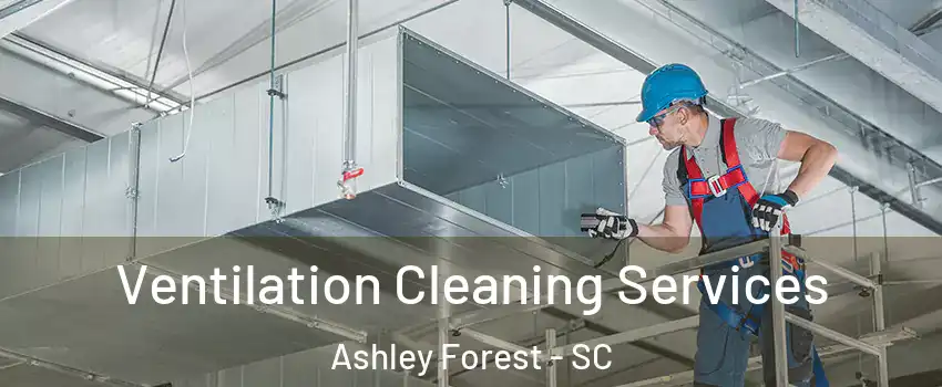 Ventilation Cleaning Services Ashley Forest - SC