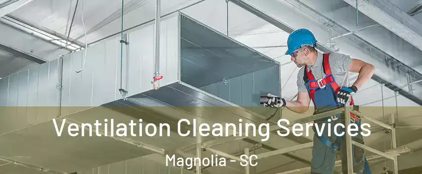 Ventilation Cleaning Services Magnolia - SC