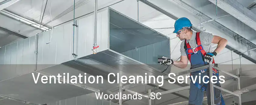 Ventilation Cleaning Services Woodlands - SC