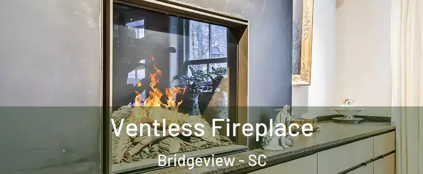 Ventless Fireplace Bridgeview - SC