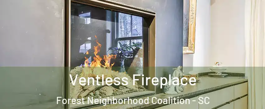 Ventless Fireplace Forest Neighborhood Coalition - SC