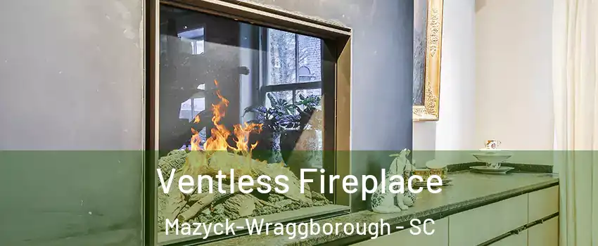 Ventless Fireplace Mazyck-Wraggborough - SC