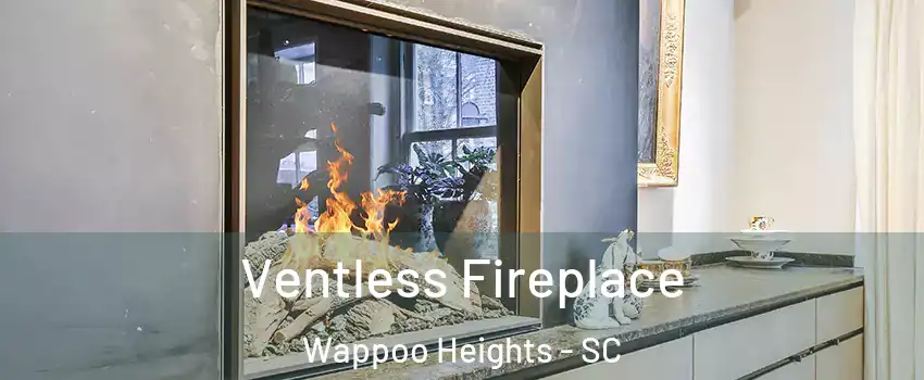 Ventless Fireplace Wappoo Heights - SC