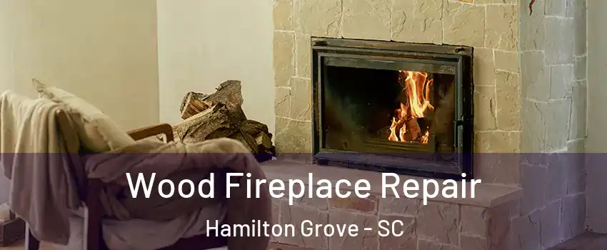 Wood Fireplace Repair Hamilton Grove - SC