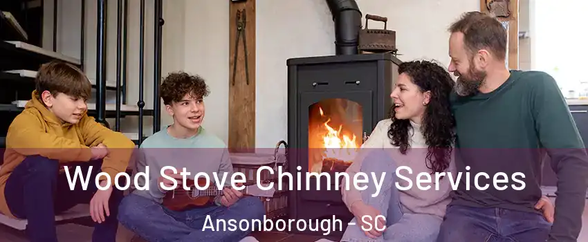 Wood Stove Chimney Services Ansonborough - SC