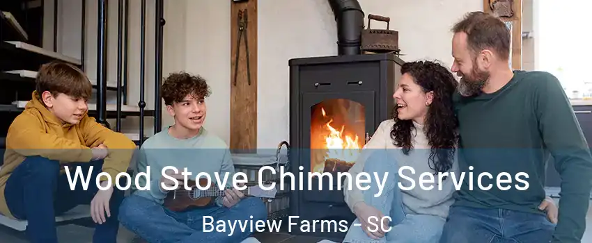 Wood Stove Chimney Services Bayview Farms - SC