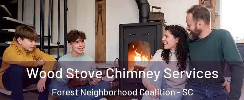 Wood Stove Chimney Services Forest Neighborhood Coalition - SC