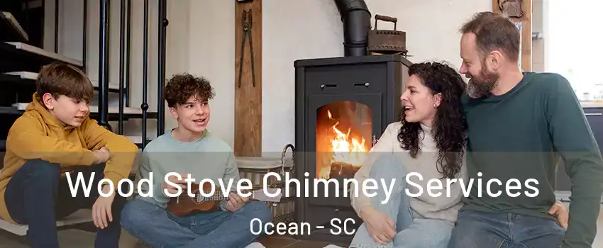 Wood Stove Chimney Services Ocean - SC