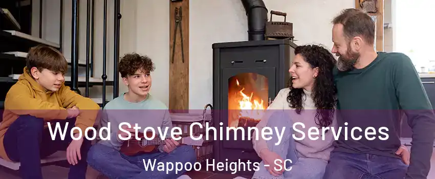 Wood Stove Chimney Services Wappoo Heights - SC