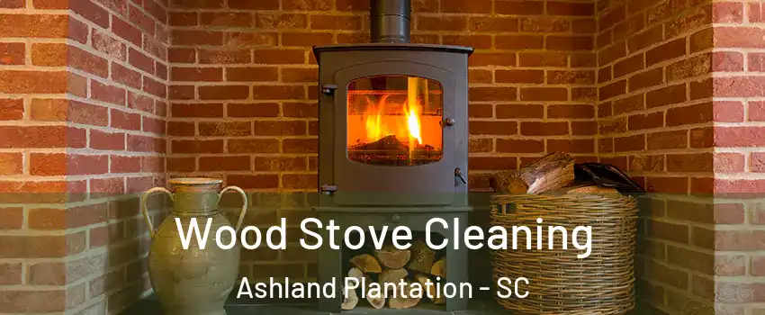 Wood Stove Cleaning Ashland Plantation - SC