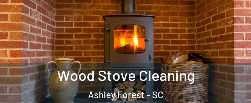 Wood Stove Cleaning Ashley Forest - SC