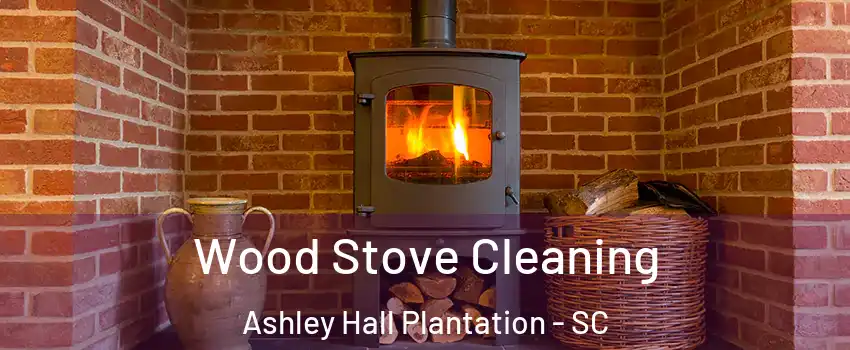 Wood Stove Cleaning Ashley Hall Plantation - SC