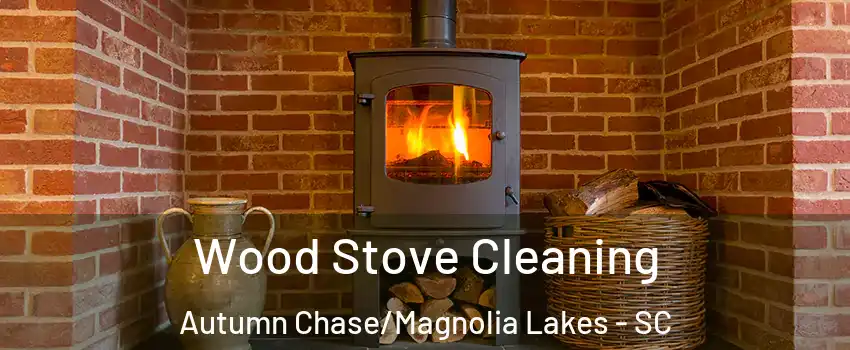 Wood Stove Cleaning Autumn Chase/Magnolia Lakes - SC