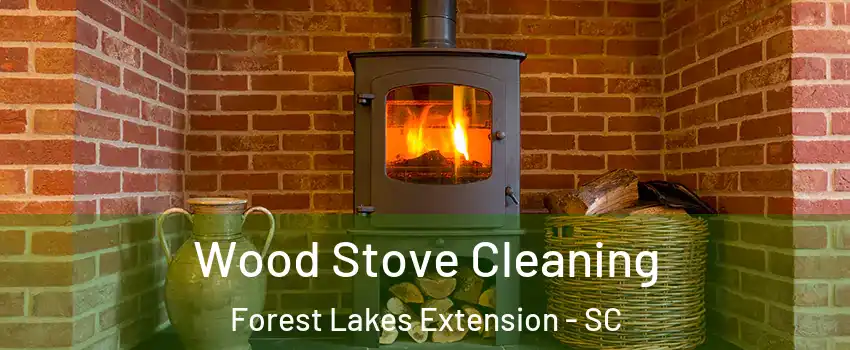 Wood Stove Cleaning Forest Lakes Extension - SC