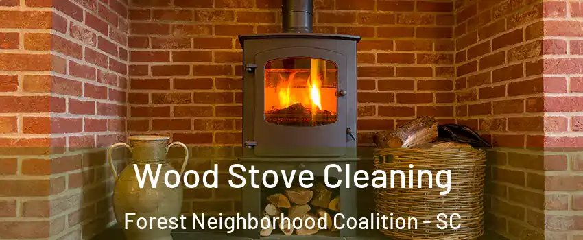 Wood Stove Cleaning Forest Neighborhood Coalition - SC