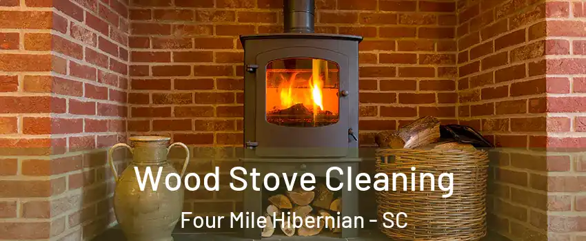 Wood Stove Cleaning Four Mile Hibernian - SC