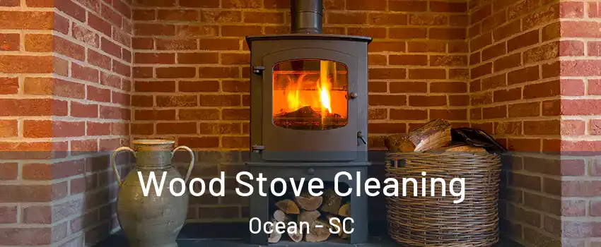 Wood Stove Cleaning Ocean - SC