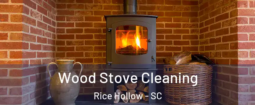 Wood Stove Cleaning Rice Hollow - SC