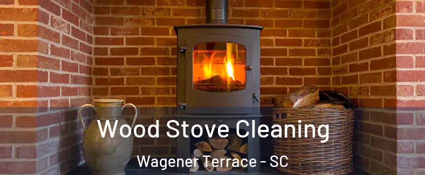 Wood Stove Cleaning Wagener Terrace - SC