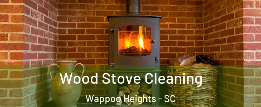 Wood Stove Cleaning Wappoo Heights - SC