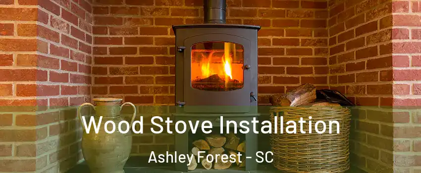 Wood Stove Installation Ashley Forest - SC