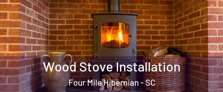 Wood Stove Installation Four Mile Hibernian - SC