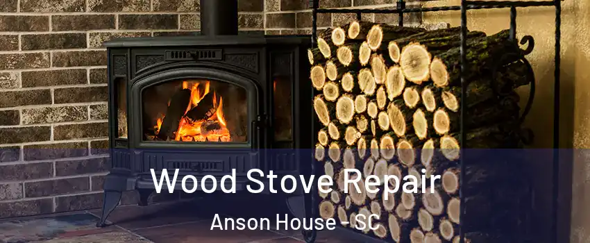 Wood Stove Repair Anson House - SC