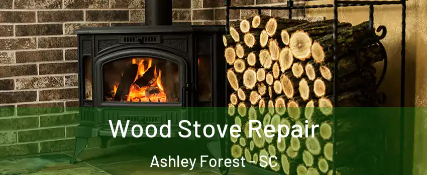 Wood Stove Repair Ashley Forest - SC