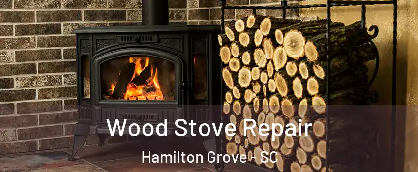 Wood Stove Repair Hamilton Grove - SC