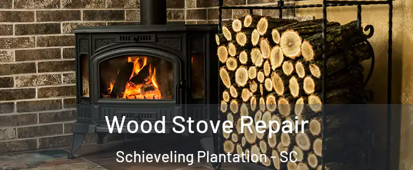 Wood Stove Repair Schieveling Plantation - SC